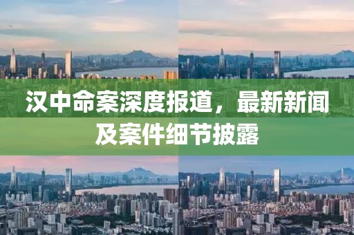 汉中命案深度报道，最新新闻及案件细节披露