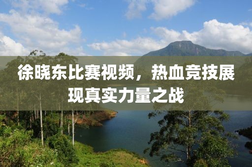 徐晓东比赛视频，热血竞技展现真实力量之战