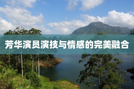 芳华演员演技与情感的完美融合