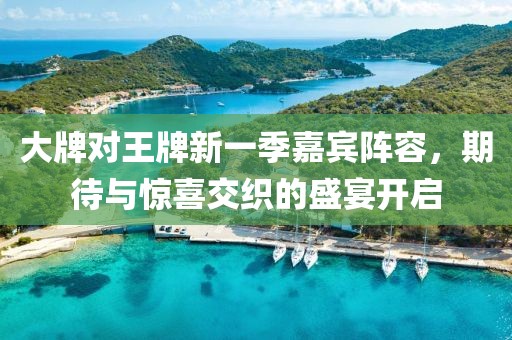 大牌对王牌新一季嘉宾阵容，期待与惊喜交织的盛宴开启