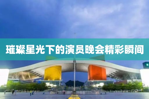 璀璨星光下的演员晚会精彩瞬间