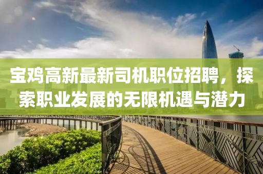 宝鸡高新最新司机职位招聘，探索职业发展的无限机遇与潜力