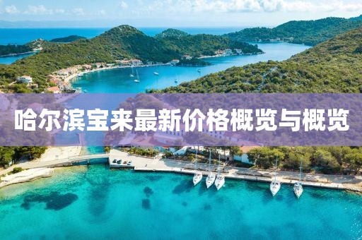 哈尔滨宝来最新价格概览与概览
