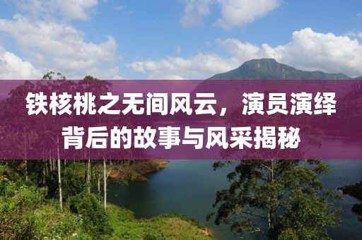 铁核桃之无间风云，演员演绎背后的故事与风采揭秘
