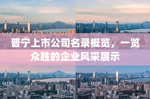 普宁上市公司名录概览，一览众胜的企业风采展示