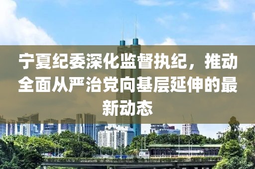 宁夏纪委深化监督执纪，推动全面从严治党向基层延伸的最新动态