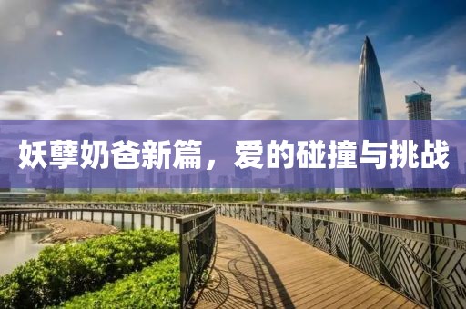 妖孽奶爸新篇，爱的碰撞与挑战