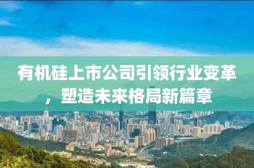 有机硅上市公司引领行业变革，塑造未来格局新篇章
