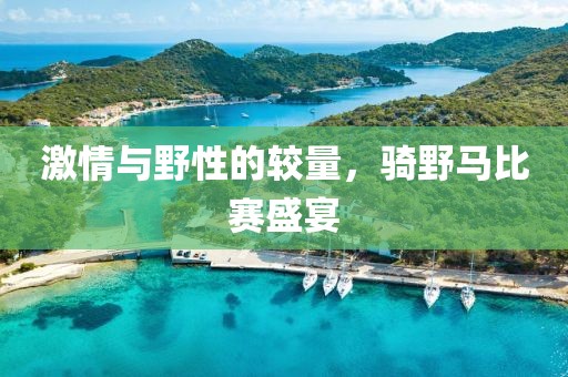 激情与野性的较量，骑野马比赛盛宴