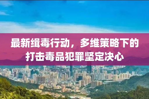 最新缉毒行动，多维策略下的打击毒品犯罪坚定决心