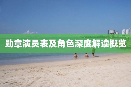 勋章演员表及角色深度解读概览