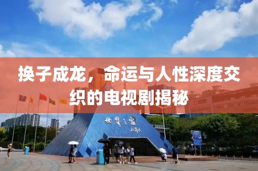 换子成龙，命运与人性深度交织的电视剧揭秘