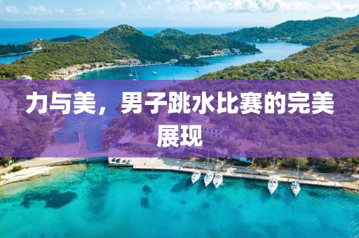 力与美，男子跳水比赛的完美展现