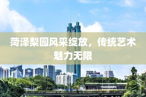 菏泽梨园风采绽放，传统艺术魅力无限