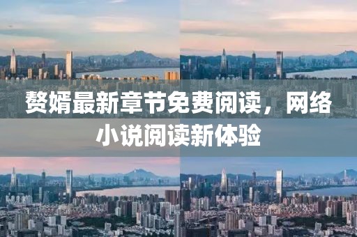 赘婿最新章节免费阅读，网络小说阅读新体验