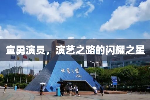 童勇演员，演艺之路的闪耀之星
