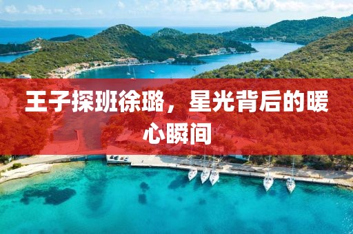 王子探班徐璐，星光背后的暖心瞬间