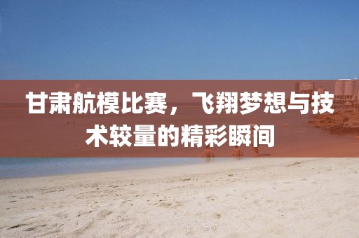 甘肃航模比赛，飞翔梦想与技术较量的精彩瞬间