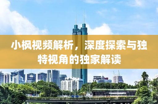 小枫视频解析，深度探索与独特视角的独家解读