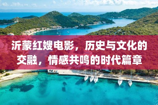 沂蒙红嫂电影，历史与文化的交融，情感共鸣的时代篇章