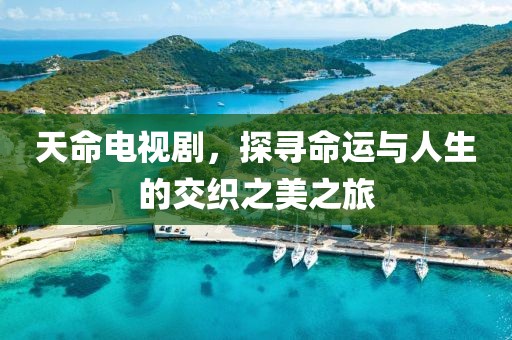 天命电视剧，探寻命运与人生的交织之美之旅