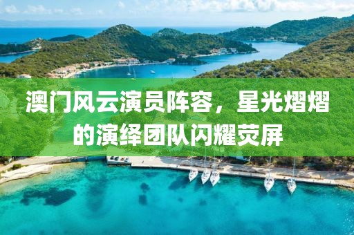 澳门风云演员阵容，星光熠熠的演绎团队闪耀荧屏