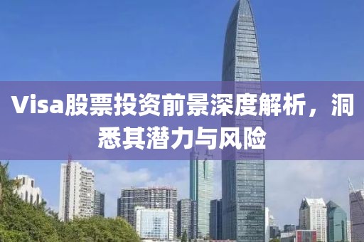 Visa股票投资前景深度解析，洞悉其潜力与风险