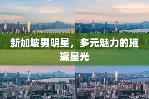 新加坡男明星，多元魅力的璀璨星光