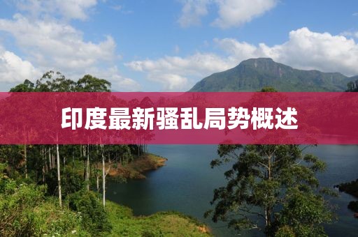 印度最新骚乱局势概述