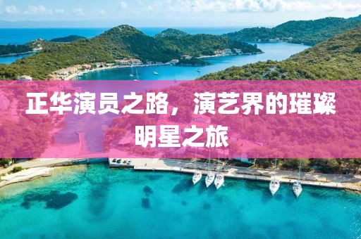 正华演员之路，演艺界的璀璨明星之旅