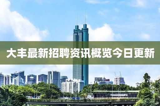 大丰最新招聘资讯概览今日更新