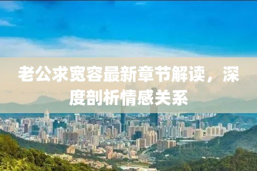 老公求宽容最新章节解读，深度剖析情感关系