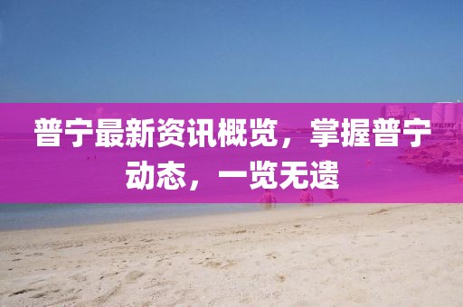 普宁最新资讯概览，掌握普宁动态，一览无遗