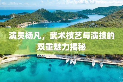 演员杨凡，武术技艺与演技的双重魅力揭秘
