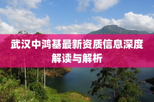 武汉中鸿基最新资质信息深度解读与解析