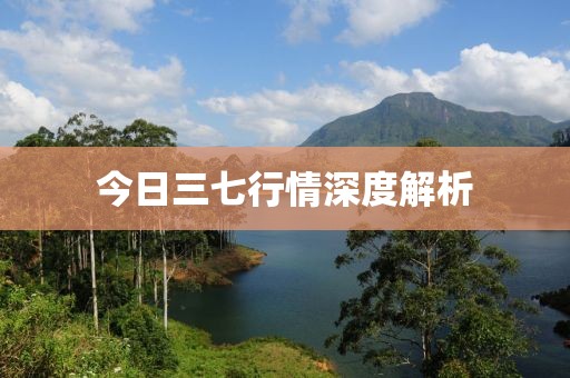 今日三七行情深度解析