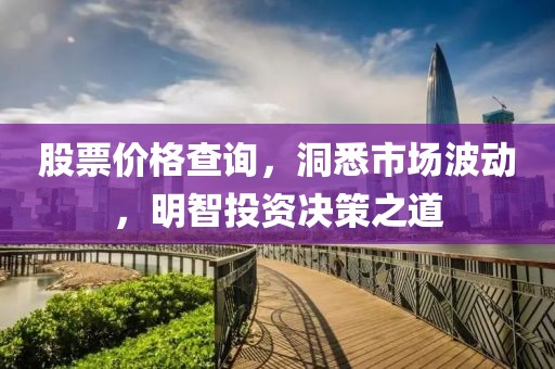 股票价格查询，洞悉市场波动，明智投资决策之道