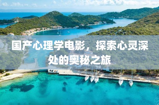 国产心理学电影，探索心灵深处的奥秘之旅