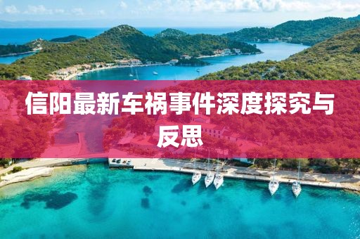 信阳最新车祸事件深度探究与反思