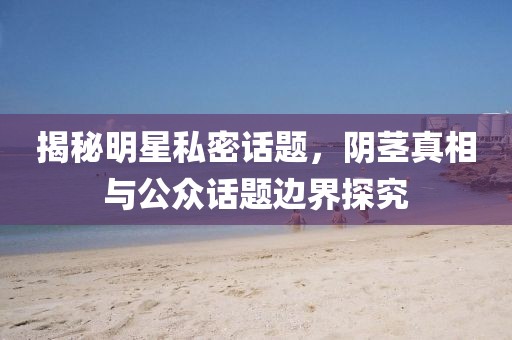 揭秘明星私密话题，阴茎真相与公众话题边界探究