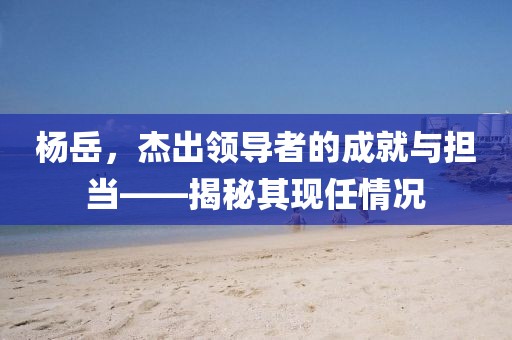 杨岳，杰出领导者的成就与担当——揭秘其现任情况