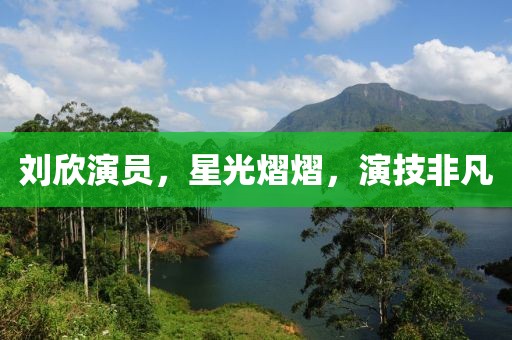 刘欣演员，星光熠熠，演技非凡