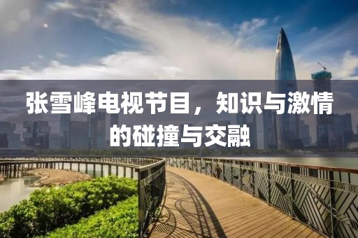 张雪峰电视节目，知识与激情的碰撞与交融