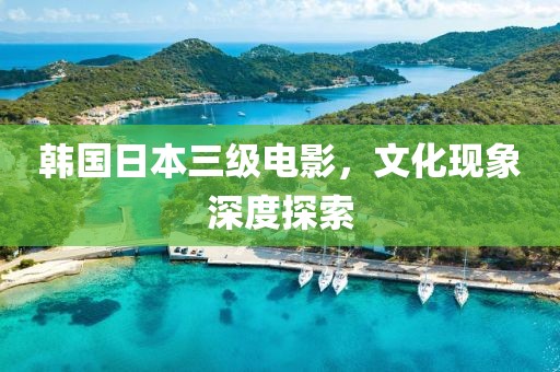 韩国日本三级电影，文化现象深度探索