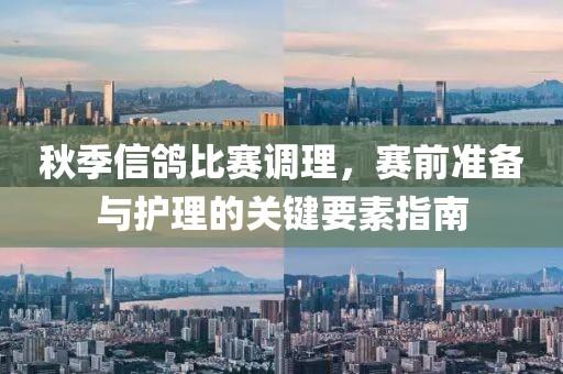 秋季信鸽比赛调理，赛前准备与护理的关键要素指南