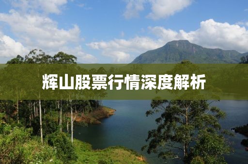 辉山股票行情深度解析