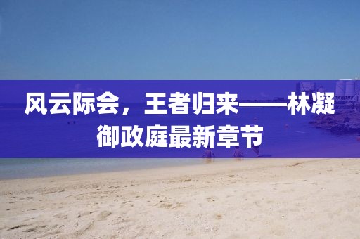 风云际会，王者归来——林凝御政庭最新章节