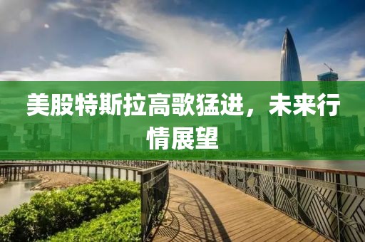 美股特斯拉高歌猛进，未来行情展望