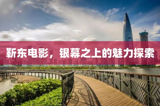 靳东电影，银幕之上的魅力探索