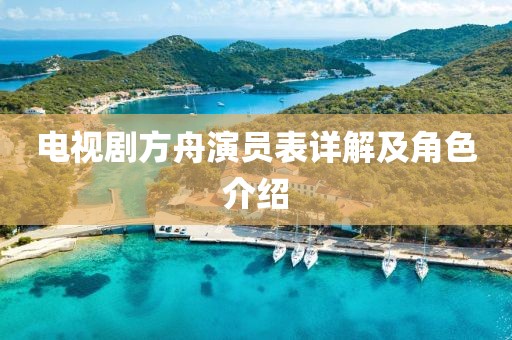 电视剧方舟演员表详解及角色介绍